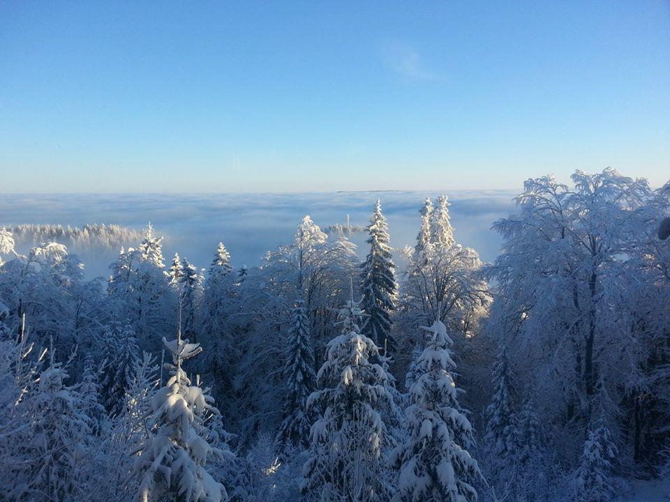 Chalet Baluma Maluba Jahorina Eksteriør bilde
